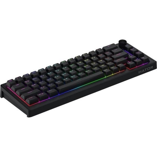 Игровая клавиатура HATOR Skyfall 65 HTK1160 | Gasket Mount, Hot-Swap, RGB | Black 2483 фото